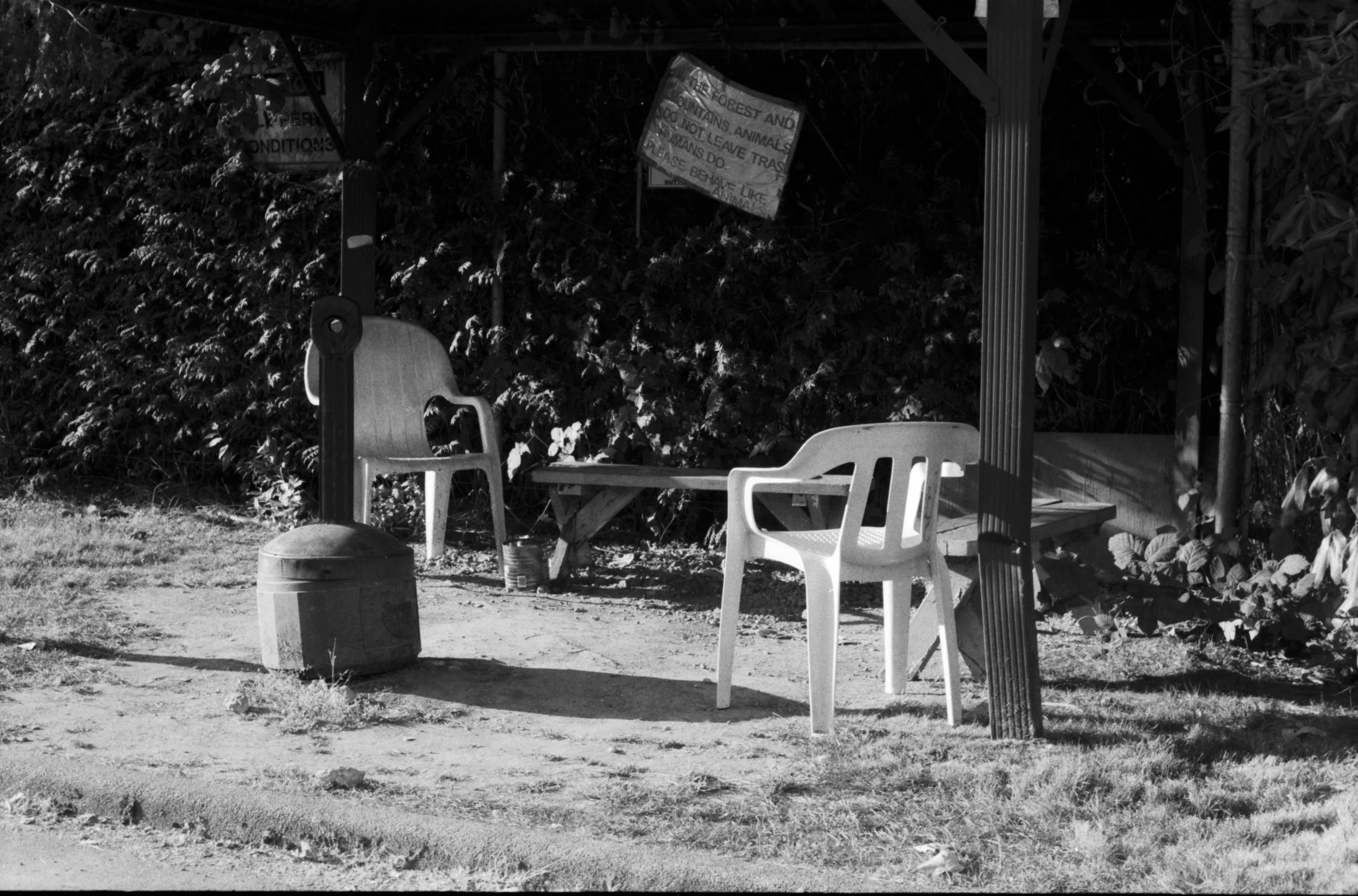 Outdoor smoking area with two plastic chairs facing each, a trash can, and a sign under a canopy, surrounded by greenery and bushes, in black and white.