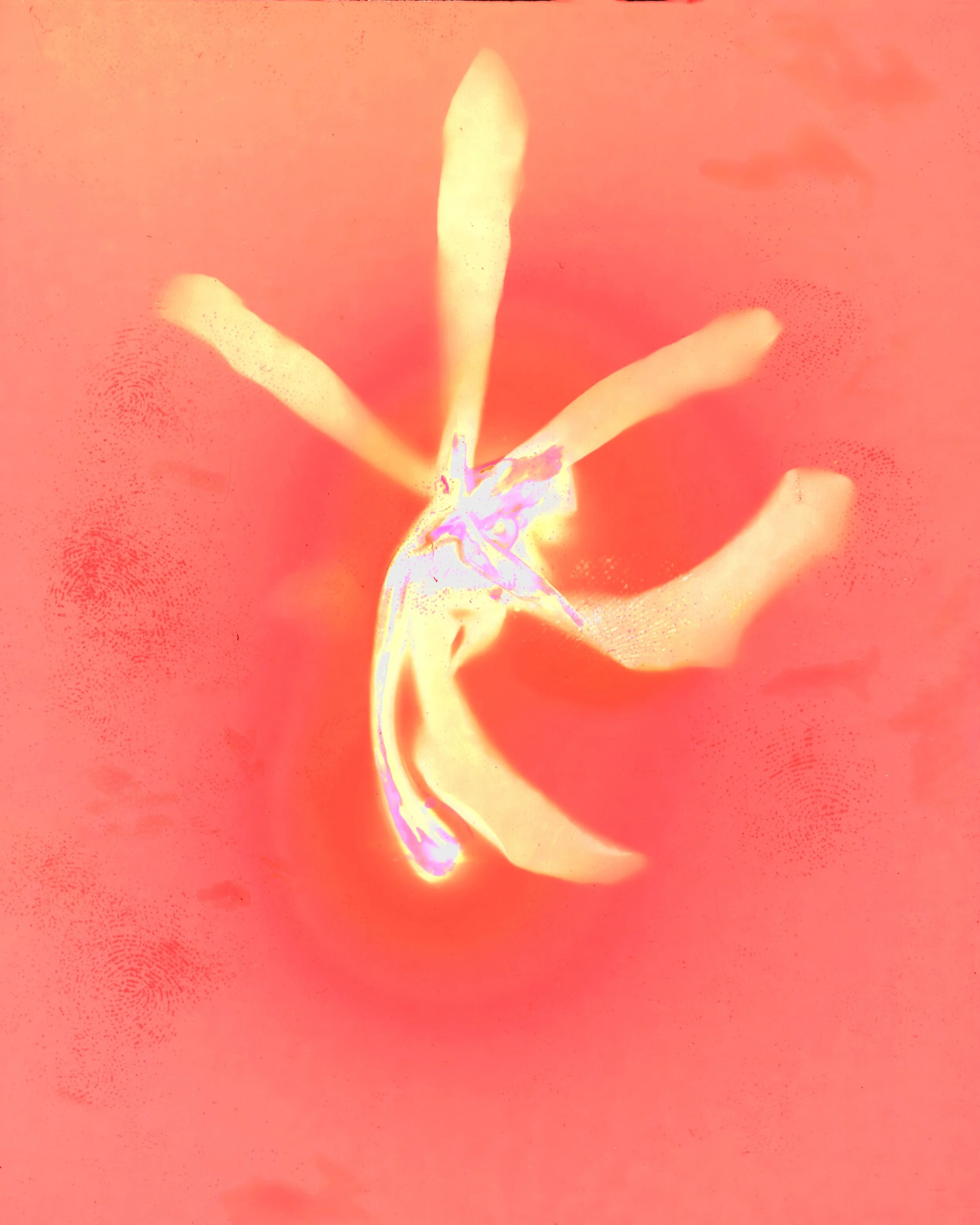 Close-up of a matchstick struck with a red-orange background.
