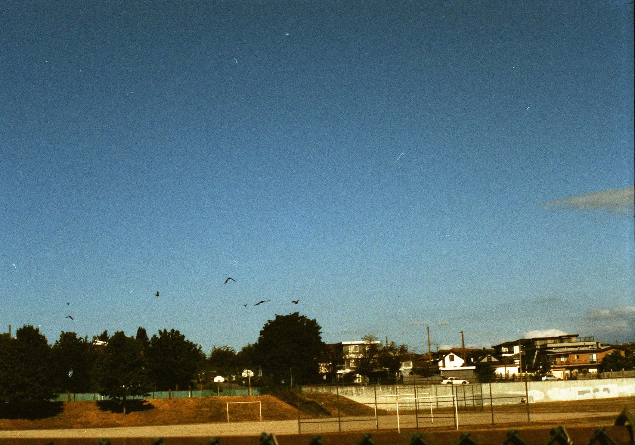 A view of a clear evening sky with a few faint stars and a streak of cloud, above a line of trees and buildings near a sports field with a soccer goal.