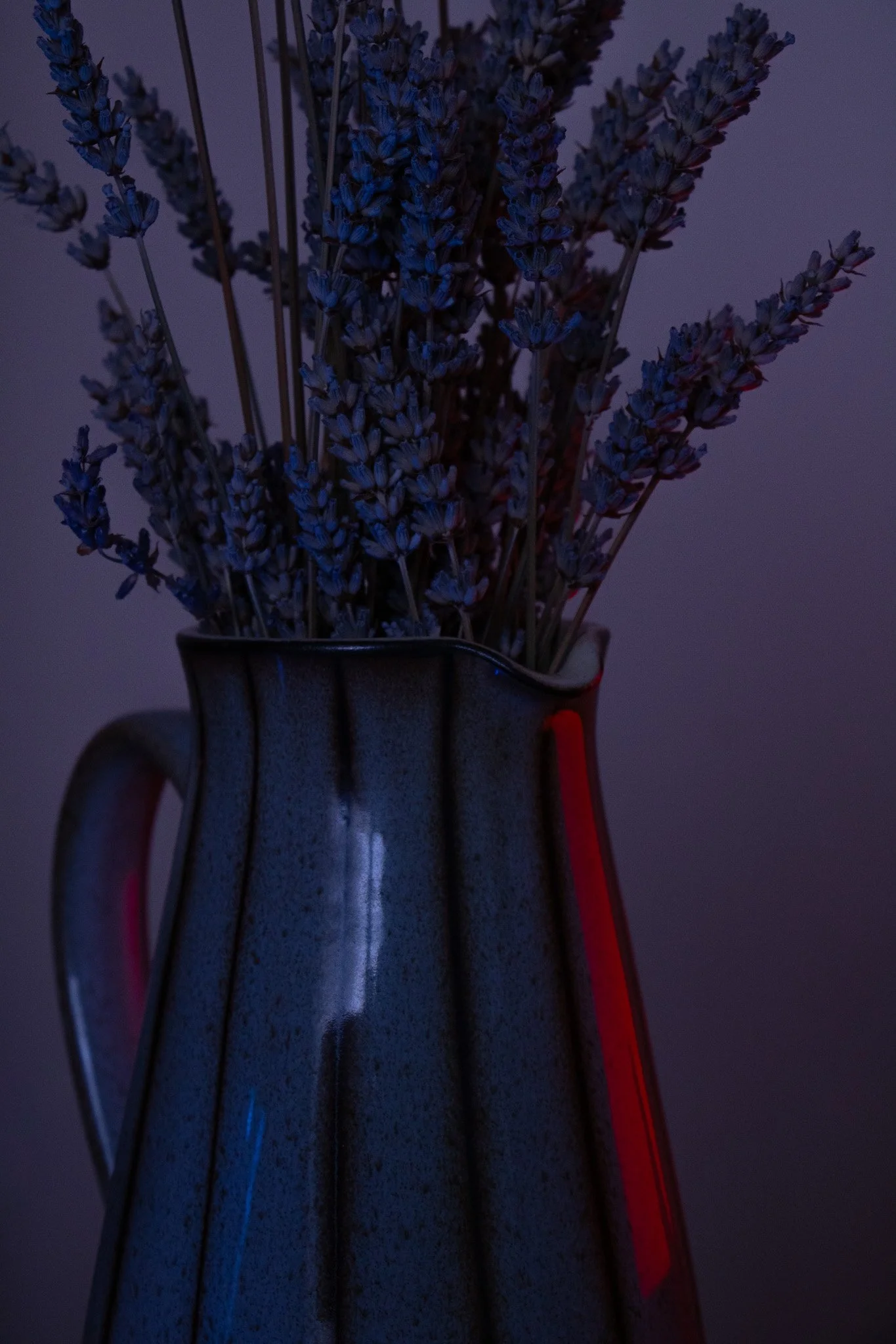 A bouquet of dried lavender flowers in a blue and gray ceramic pitcher with a handle, set against a plain background.