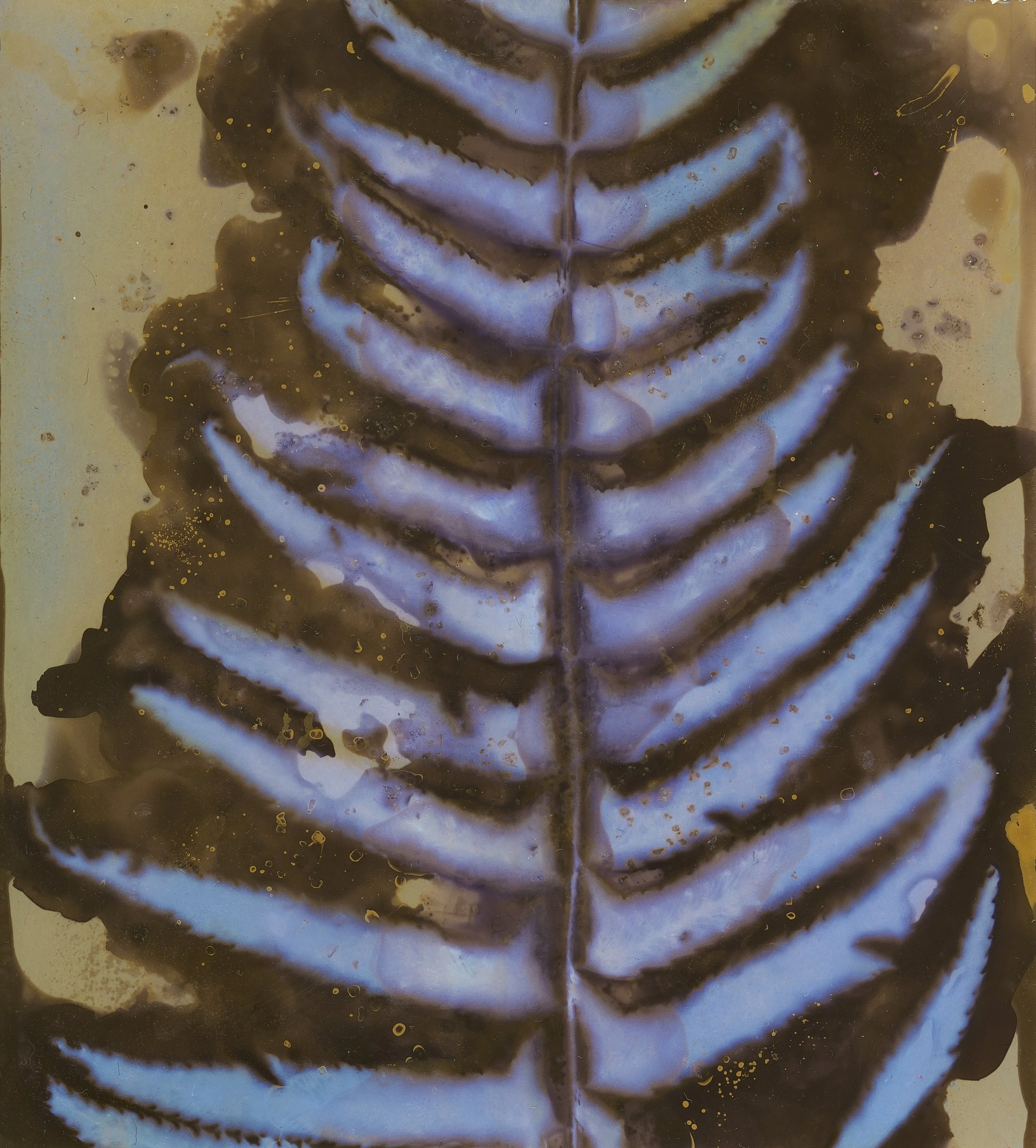 Close-up of a person's smiling mouth, showing teeth and lips, with an abstract, artistic background of brown and blue colors with splashes and speckles.