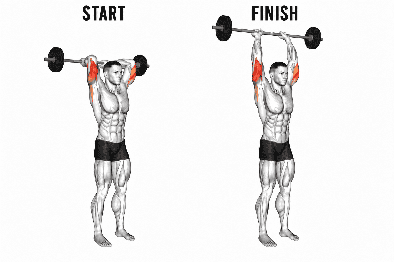 Illustration of a man performing a barbell tricep extension, with the start position on the left showing the barbell at shoulder height and the finish position on the right showing the barbell overhead, highlighting the shoulder muscles worked.