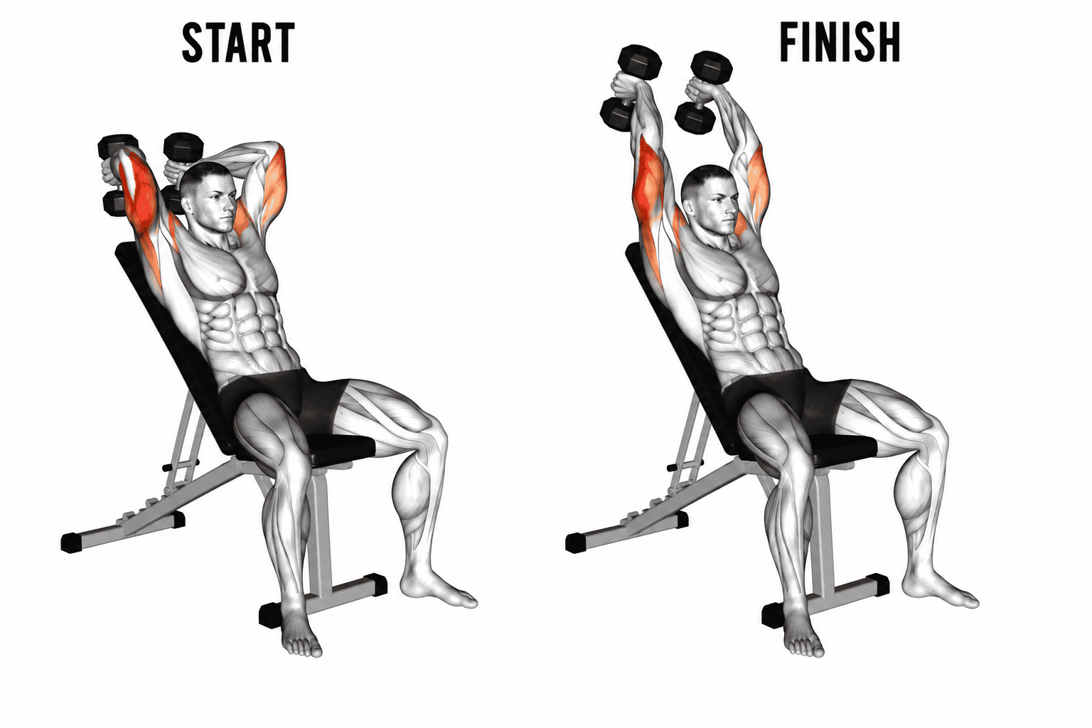 Illustration of a man performing an incline  dumbbell tricep extension in a workout bench. The image shows the start and finish positions with the man raising and lowering two dumbbells above his head.
