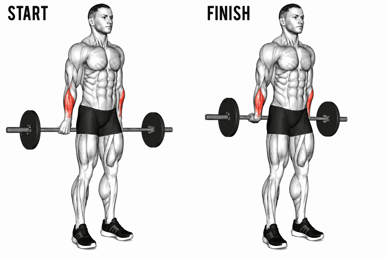 Illustration of a muscular man performing barbell behind back wrist curls, with the starting position on the left and the finishing position on the right. The man's arms and forearms are highlighted in red.