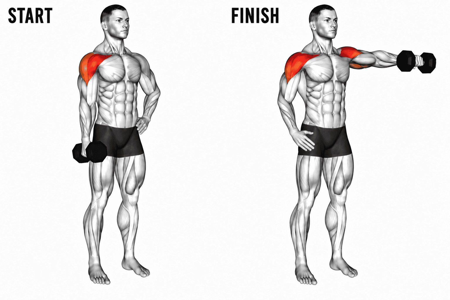 An illustration of a muscular man performing a single front raise dumbbells. The image shows a start and finish position, with the shoulder muscles highlighted in red.