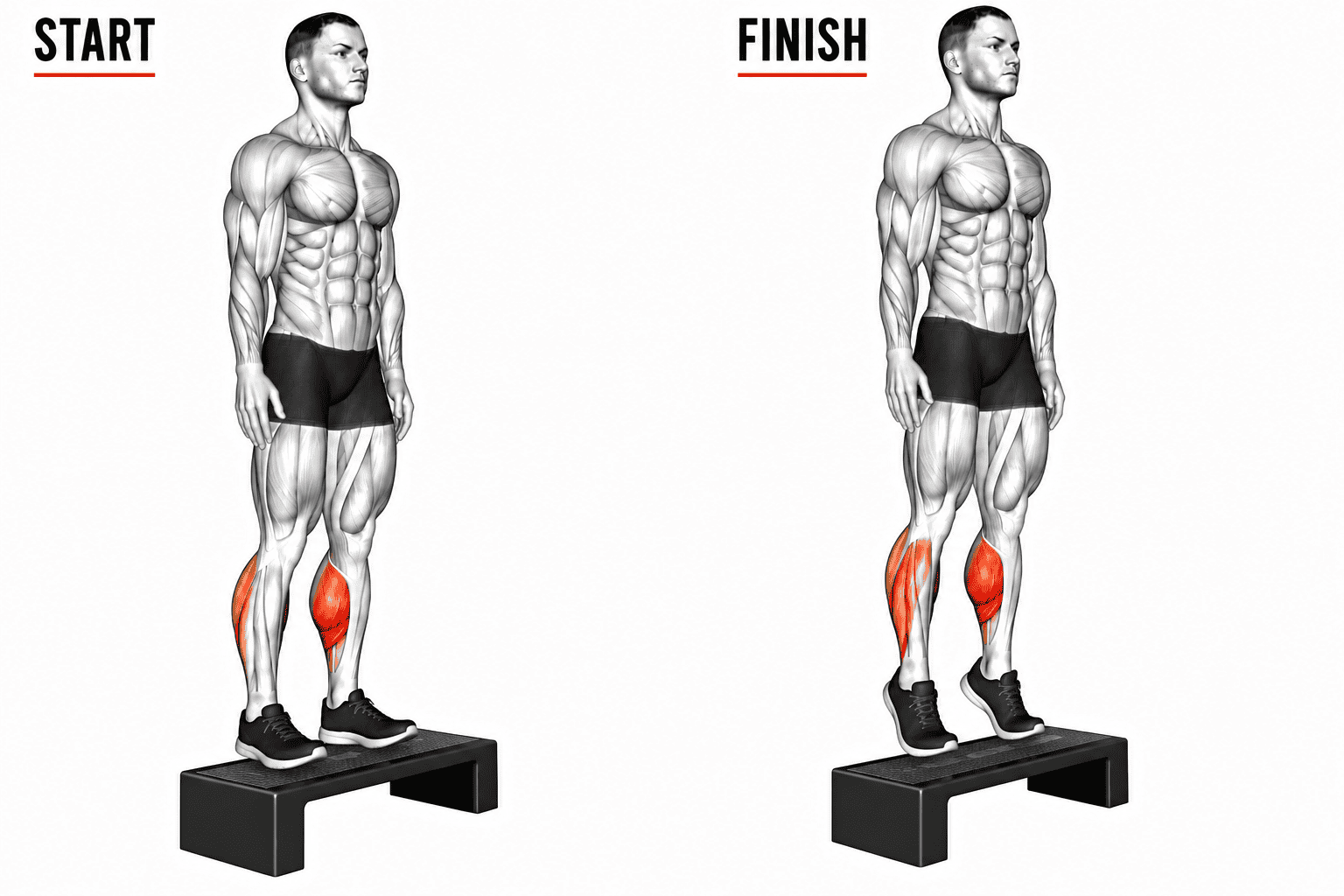 A diagram showing a before and after of a person doing a bodyweight calf exercise. On the left, the person is standing on a step with calves relaxed. On the right, the person has raised onto tiptoes, highlighting the calf muscles.