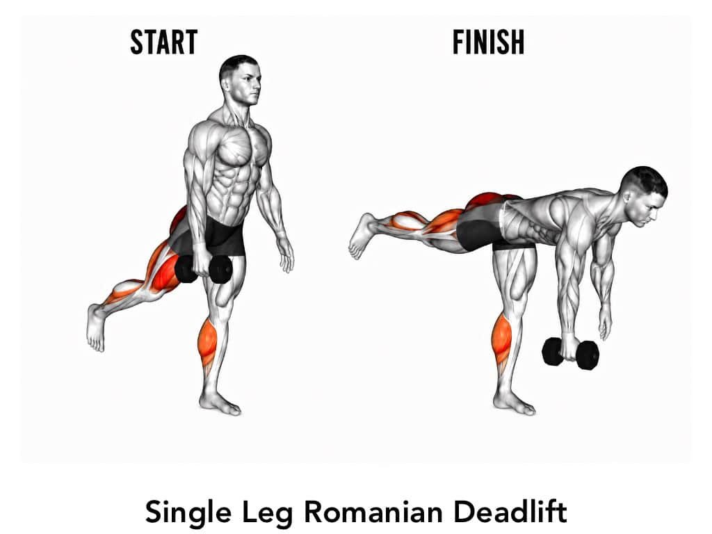 Diagram showing the start and finish positions of a single leg Romanian deadlift exercise, highlighting the muscles worked in red.