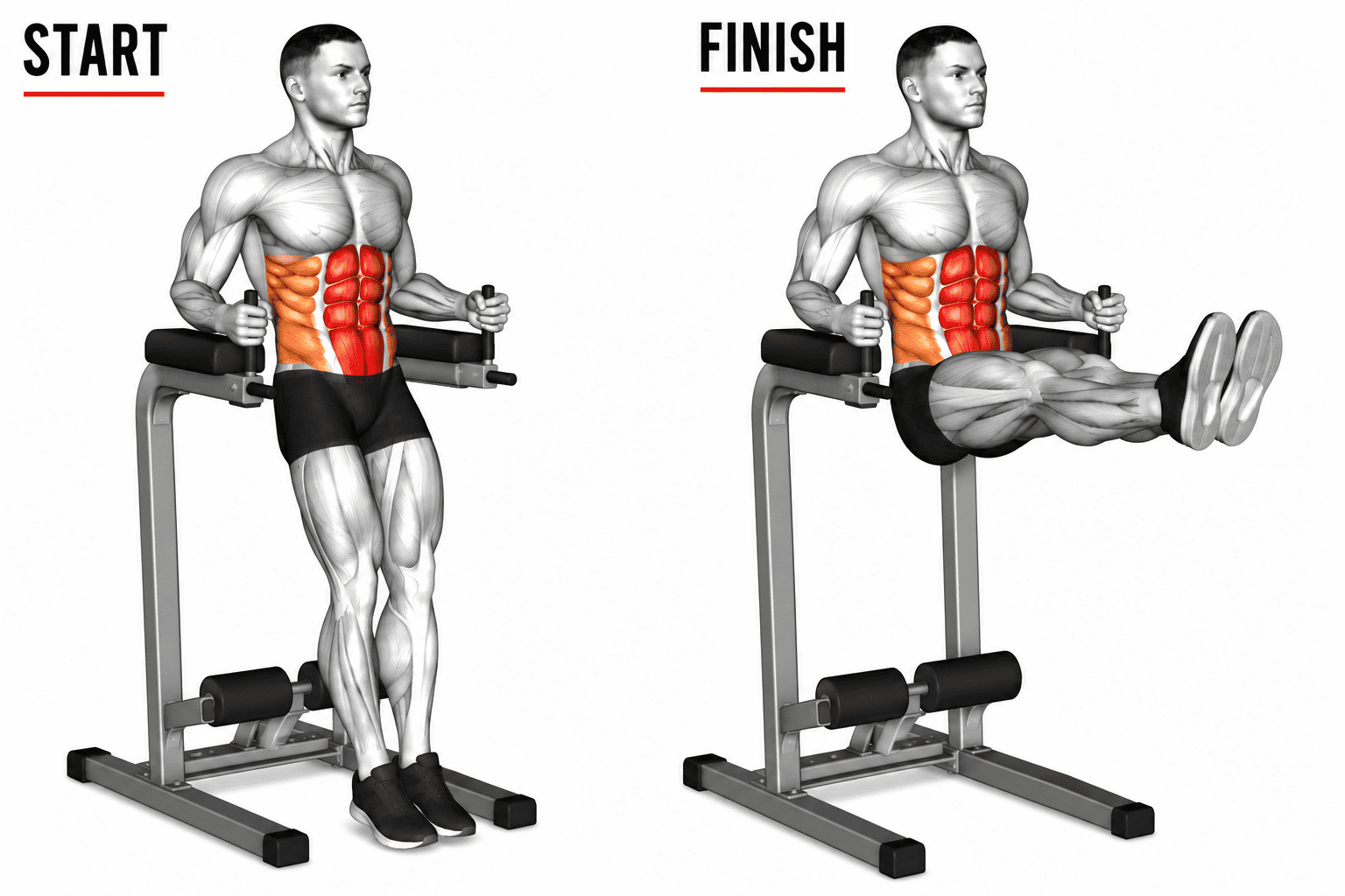 A muscular man demonstrating a parallels leg raise, with the starting position on the left and the finishing position on the right. The man is gray and black with highlighted abdominal muscles in red and orange.
