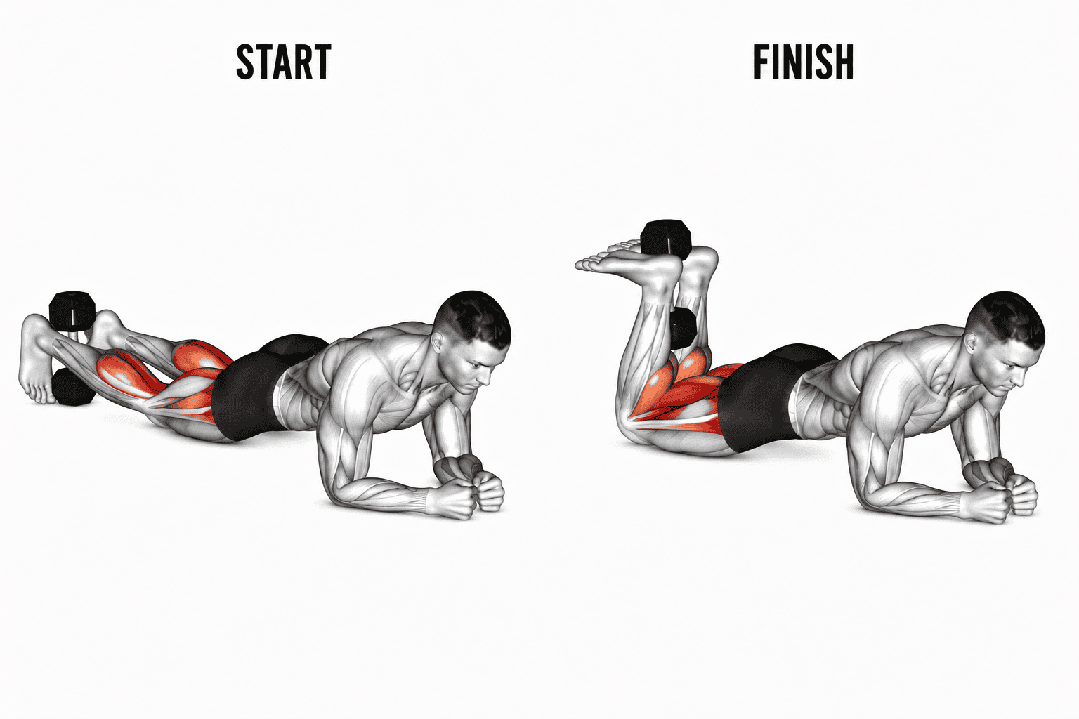Illustration of a man performing a dumbbell leg curl exercise with a dumbbell, showing muscle engagement from start to finish.