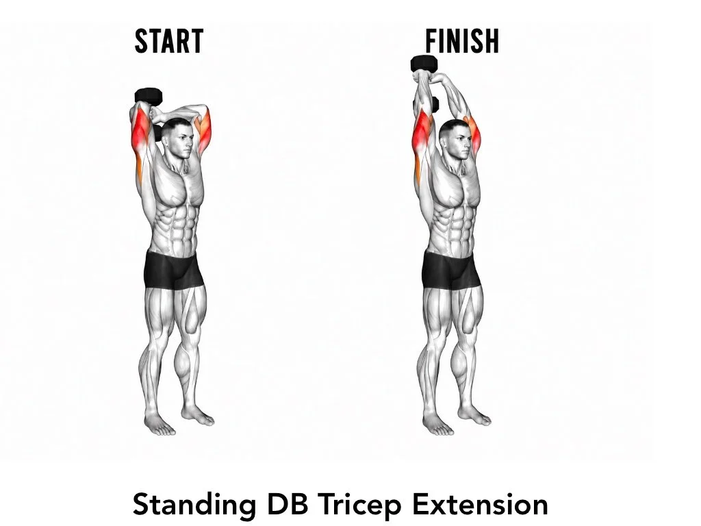 Illustration of standing dumbbell tricep extension exercise, showing start and finish positions with primary muscles highlighted in red.
