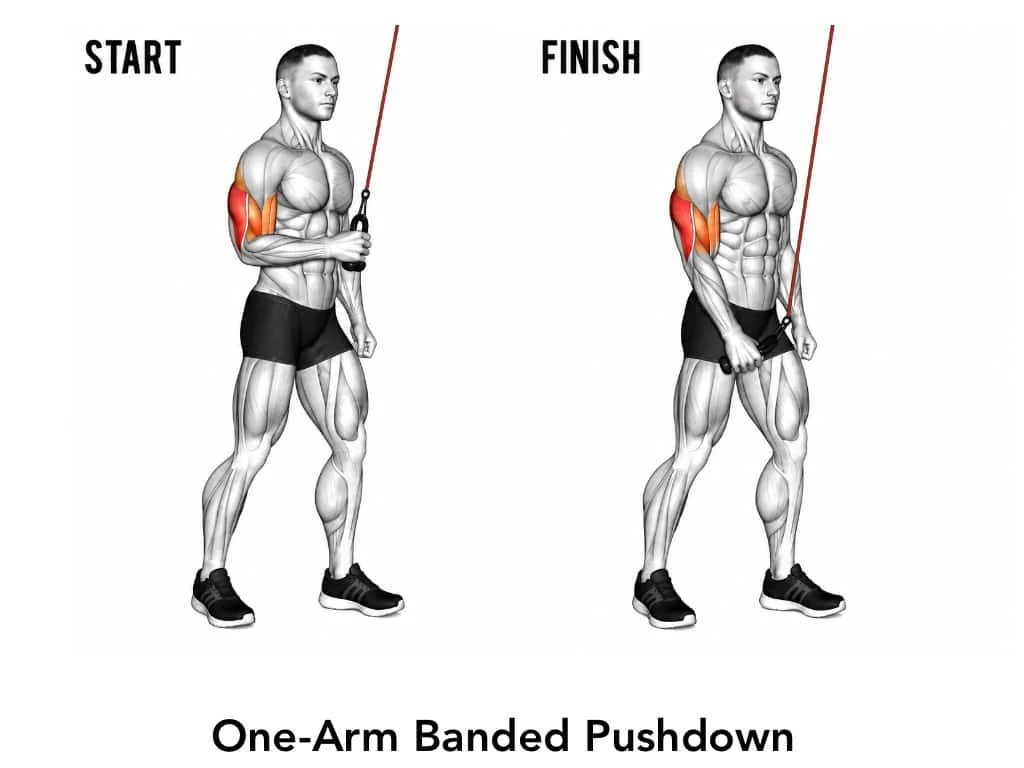Diagram showing the start and finish positions for a one-arm banded pushdown exercise, focusing on triceps activation with illustrations of a muscular man.