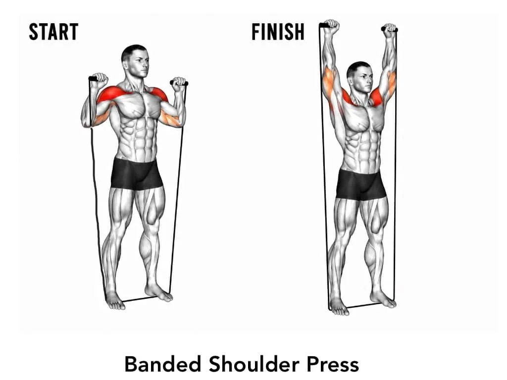 Illustration showing a man performing a banded shoulder press with start and finish positions, highlighting shoulder muscles.