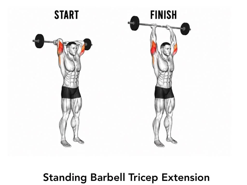 Illustration of a man performing a standing barbell tricep extension, showing initial start and finishing positions, highlighting triceps muscle engagement.