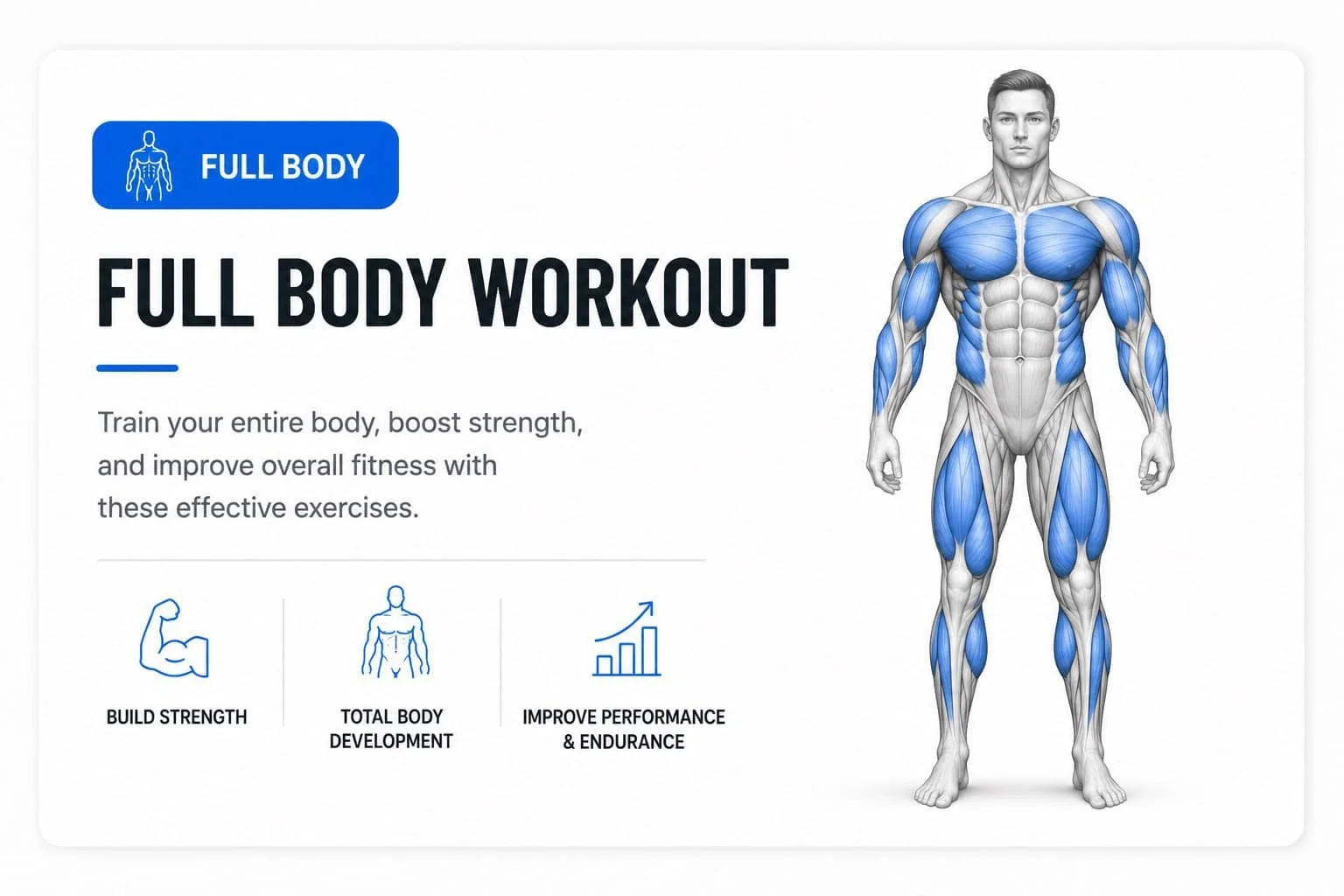 Illustration of a muscular male figure with blue-highlighted muscles on a workout poster, titled 'Full Body Workout'.
