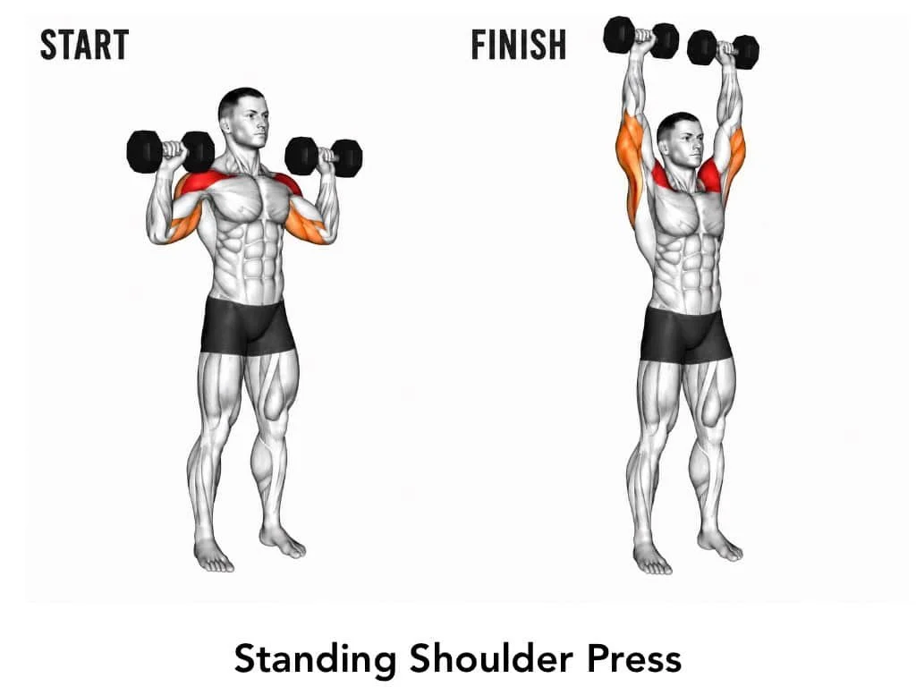 Illustration of a man performing a standing shoulder press with dumbbells, demonstrating the start and finish positions of the exercise, highlighting shoulder muscles.