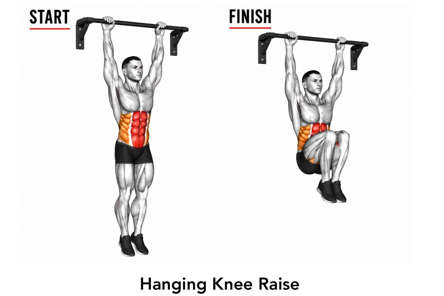 Diagram showing a man performing a hanging knee raise exercise. The left side displays the starting position with arms extended upward holding a bar and legs straight. The right side shows the finishing position with knees bent and lifted toward the chest. Muscles targetted in the abdominal area are highlighted in red and orange.