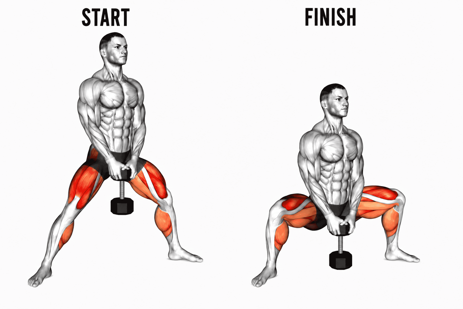Diagram of a male bodybuilder performing a sumo squat with a dumbbell, illustrating muscle groups targeted, with a start position on the left and a finish position on the right.