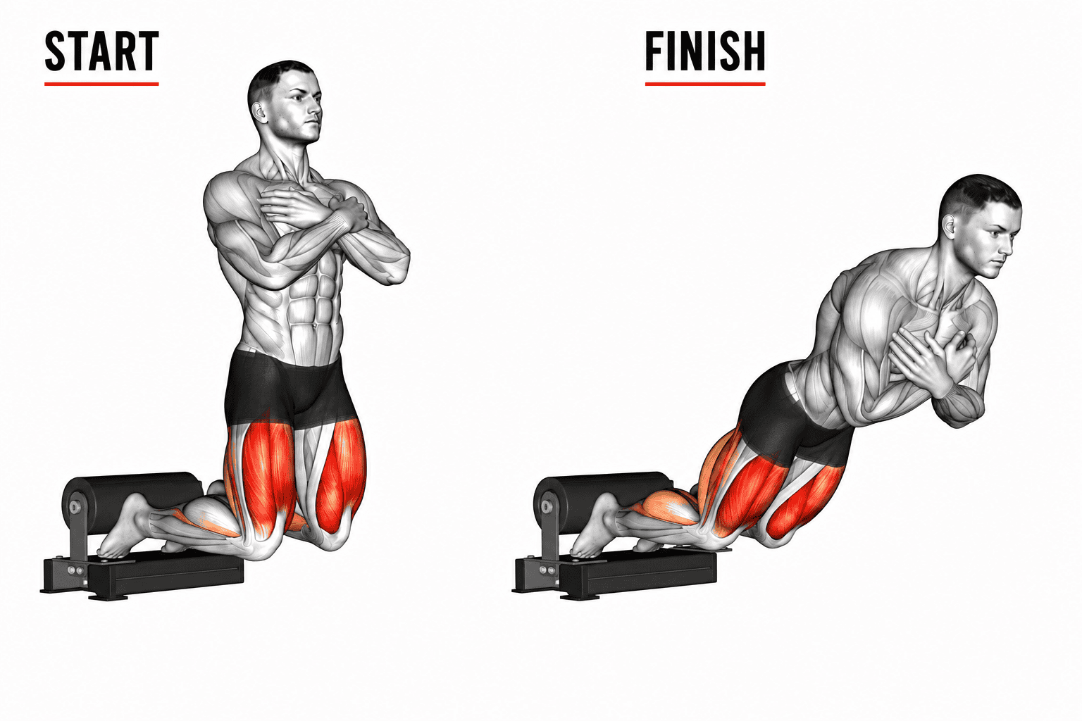 Illustration of a man performing a nordic hamstring curl, showing the muscles worked, with initial kneeling position and final bent-over pushing position.