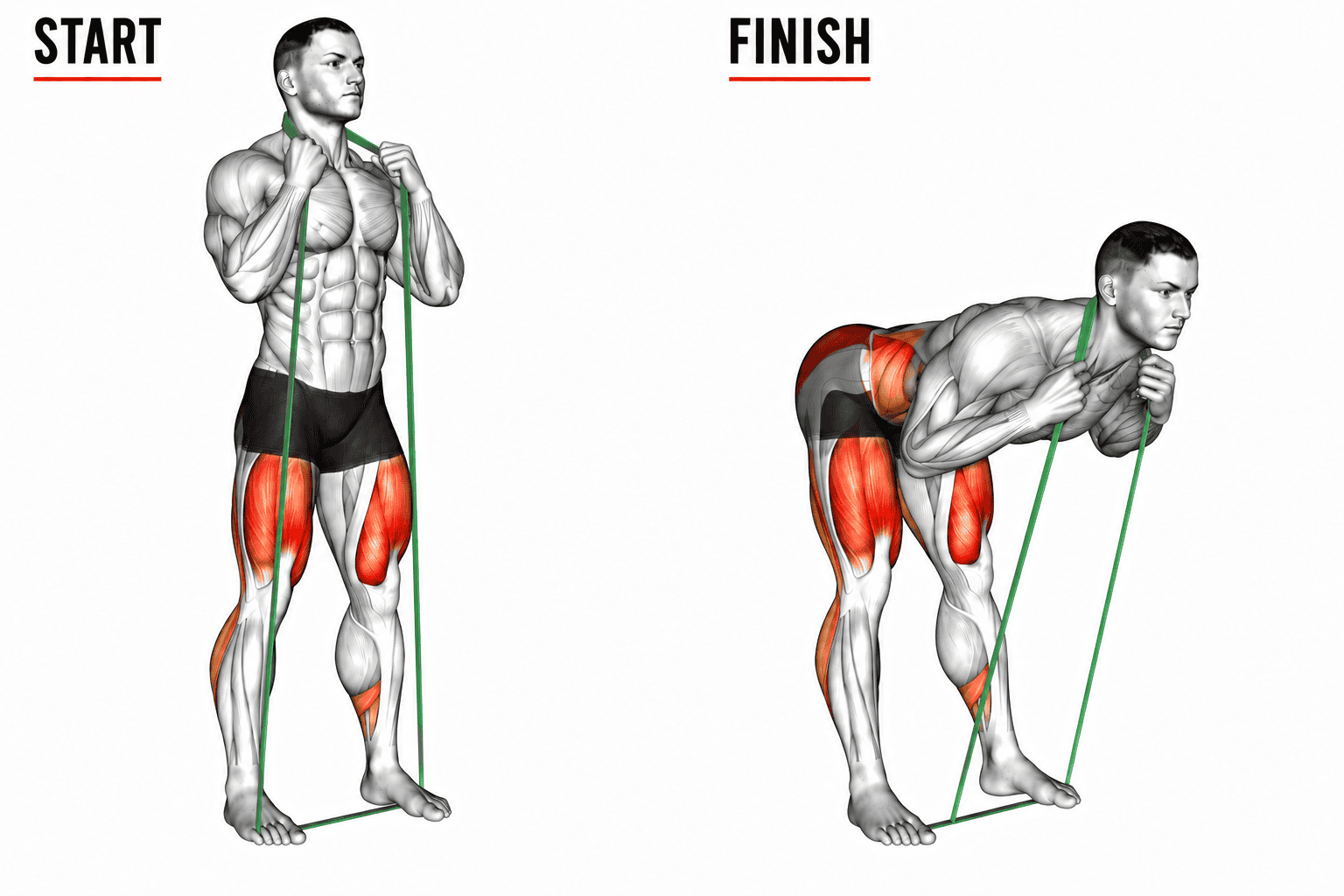 Illustration showing a man performing a banded good morning exercise beginning from a standing position with arms holding the band near the shoulders and moving to a bent-over position targeting the leg and back muscles.