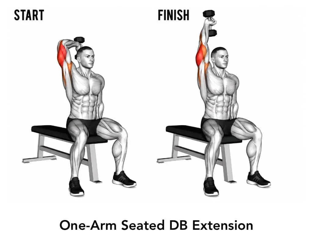 Illustration showing a man performing a one-arm seated dumbbell extension, starting with dumbbell raised overhead, targeting the triceps muscle.