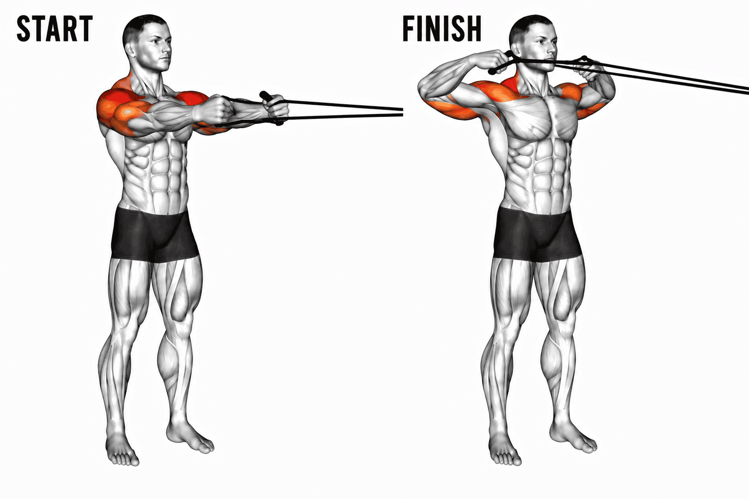 Illustration of a man performing a banded pull face, starting with arms extended forward and ending with arms bent and pulled back, showing muscle engagement in the arms, shoulders.