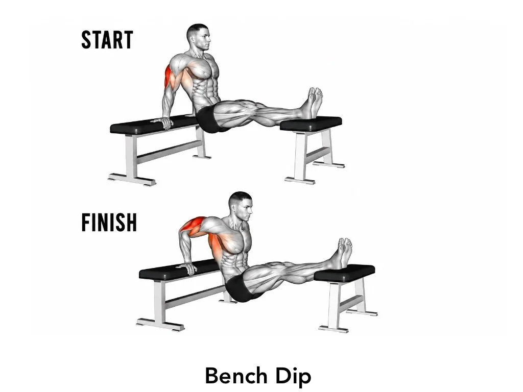Diagram of a bench dip exercise showing starting and finishing positions with muscle groups highlighted.