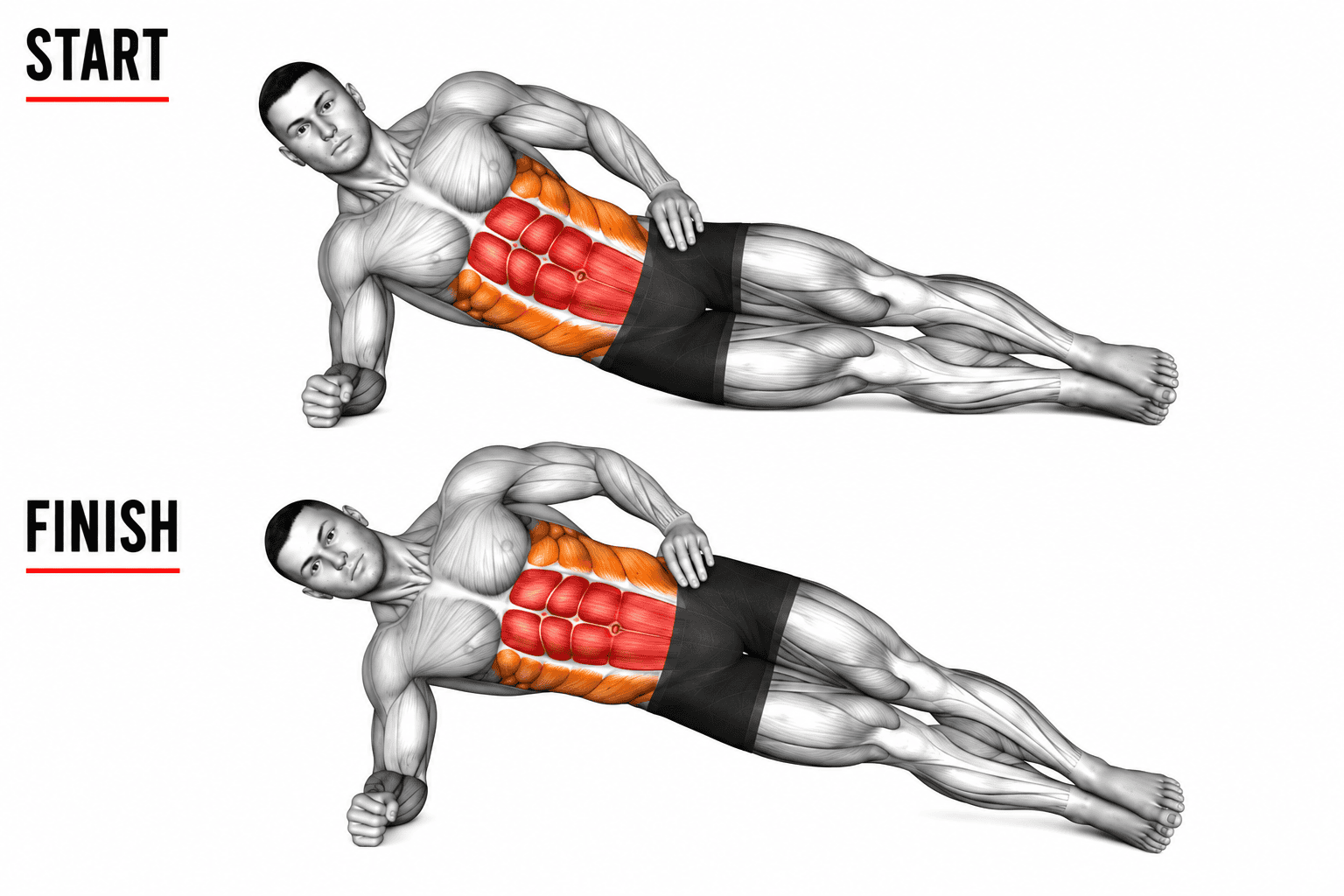 Graphic illustration showing a man performing a side plank exercise, starting on his side and ending in a similar position, emphasizing abdominal muscles.
