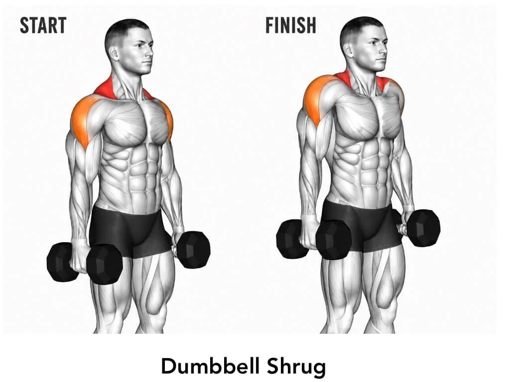Illustration of a man performing a dumbbell shrug exercise, showing start and finish positions, highlighting shoulder muscles in orange.