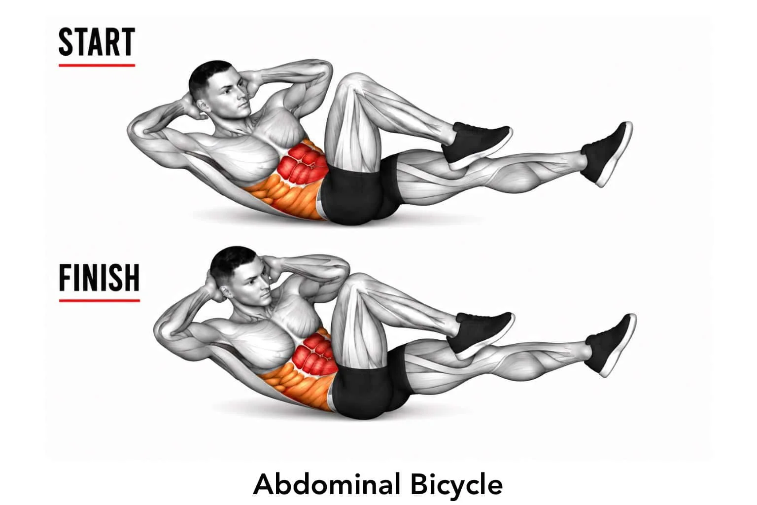 Illustration of a man performing an abdominal bicycle exercise, showing the start and finish positions, highlighting the abdominal muscles engaged.