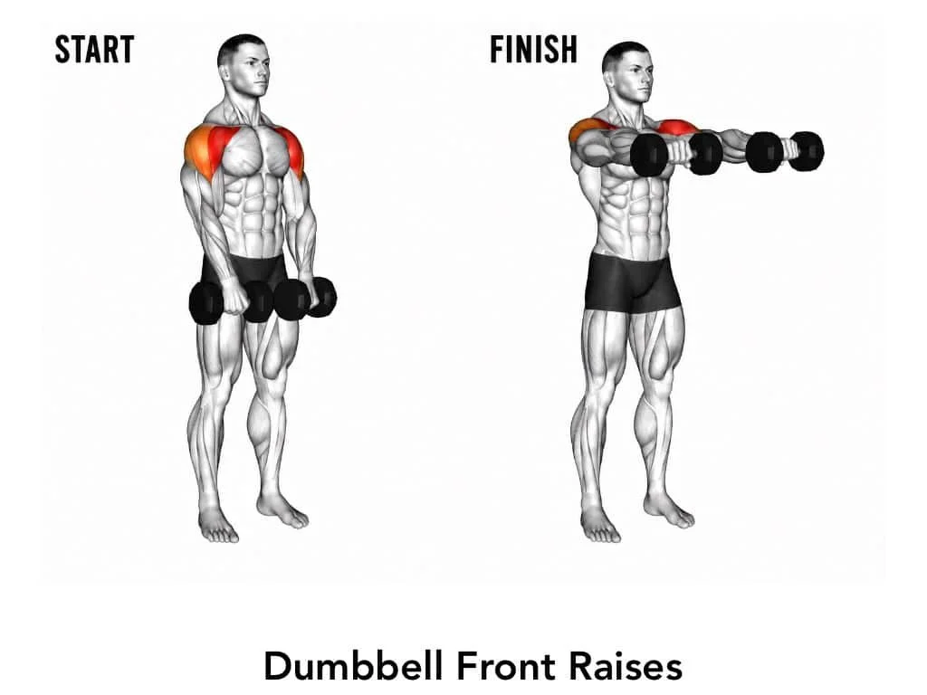 Illustration showing the start and finish positions for dumbbell front raises, highlighting the muscle groups targeted, including the shoulders, with a male figure demonstrating proper form.