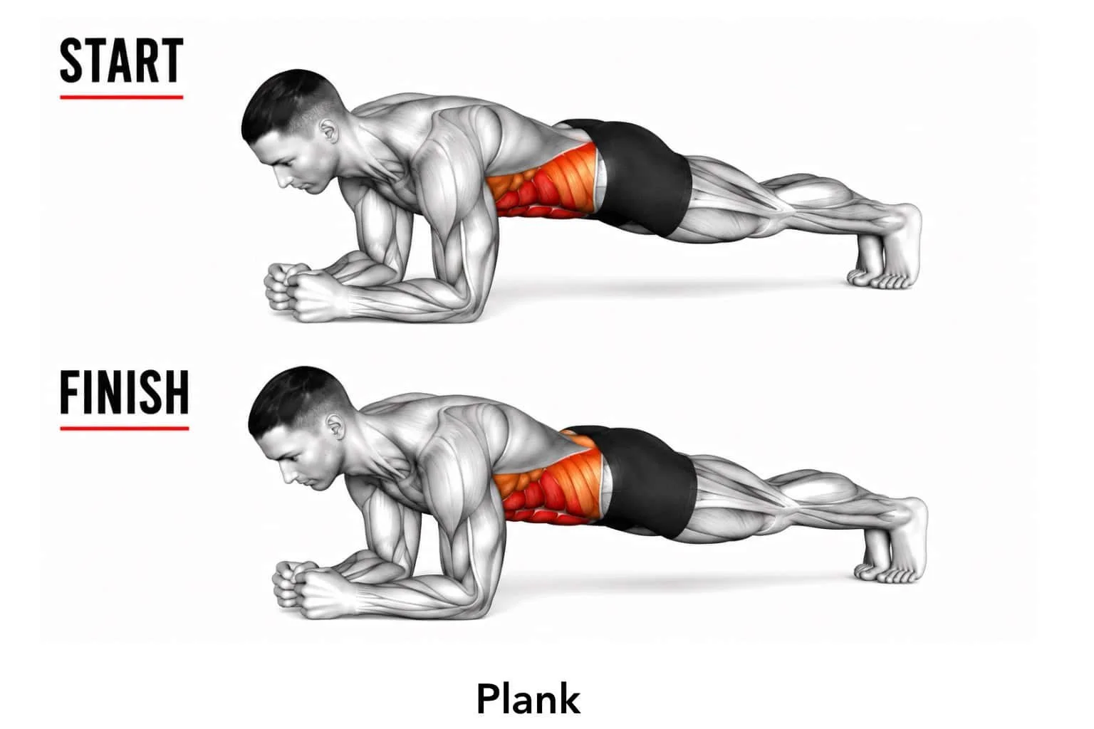 Illustration of a man performing a plank exercise, showing starting position and finishing position with focus on core muscles.