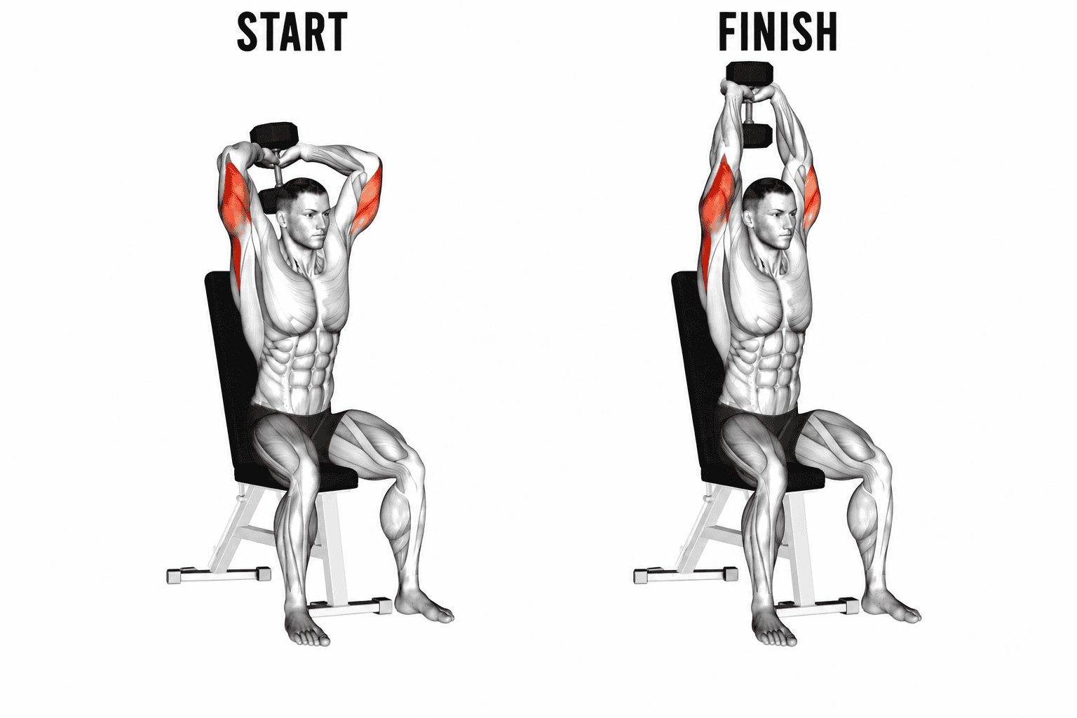 Diagram of a man performing a seated tricep extension exercise, starting with dumbbells at shoulder height and finishing with arms extended overhead, muscles highlighted.