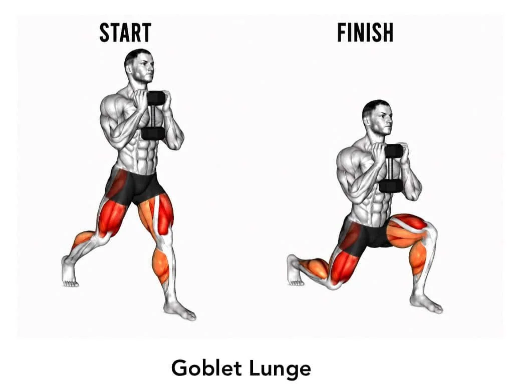 Illustration comparing a start and finish position of a goblet lunge exercise, highlighting the engaged muscles in the legs and core.