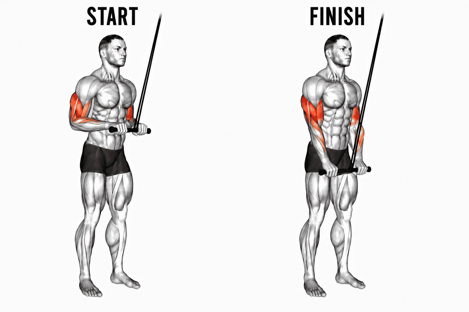 A man performing a banded pushdown for triceps, with the words 'START' at the top left and 'FINISH' at the top right, indicating the beginning and end positions of the exercise.