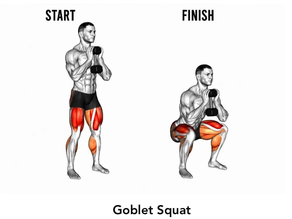 Chart showing a man performing a goblet squat with a dumbbell, illustrating starting and finishing positions, with muscles highlighted.