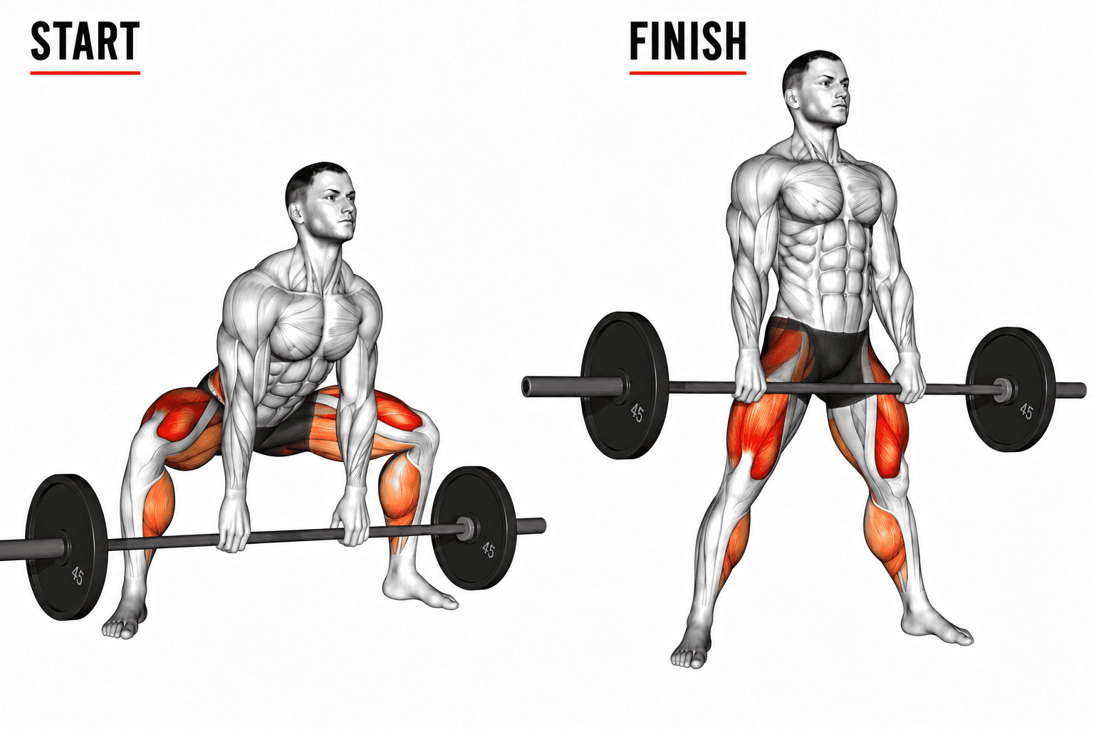 An illustration of a muscular man performing a barbell sumo deadlift exercise, shown from a squatting position on the left and standing position on the right, highlighting muscle groups used.