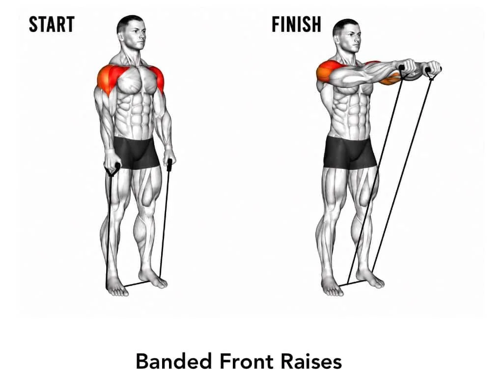 Diagram showing the start and finish positions of banded front raises exercise, highlighting shoulder muscles engaged.