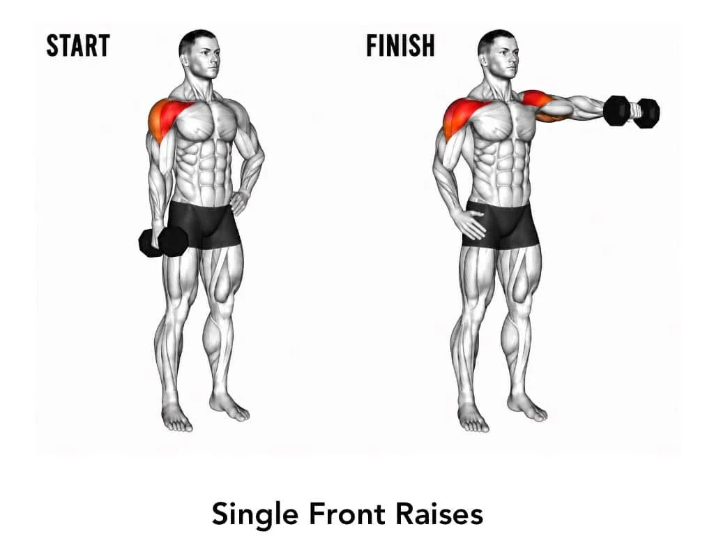 Illustration of a man performing a single front raise exercise with dumbbells, showing the starting position on the left and the finished position on the right, highlighting shoulder muscles in red.