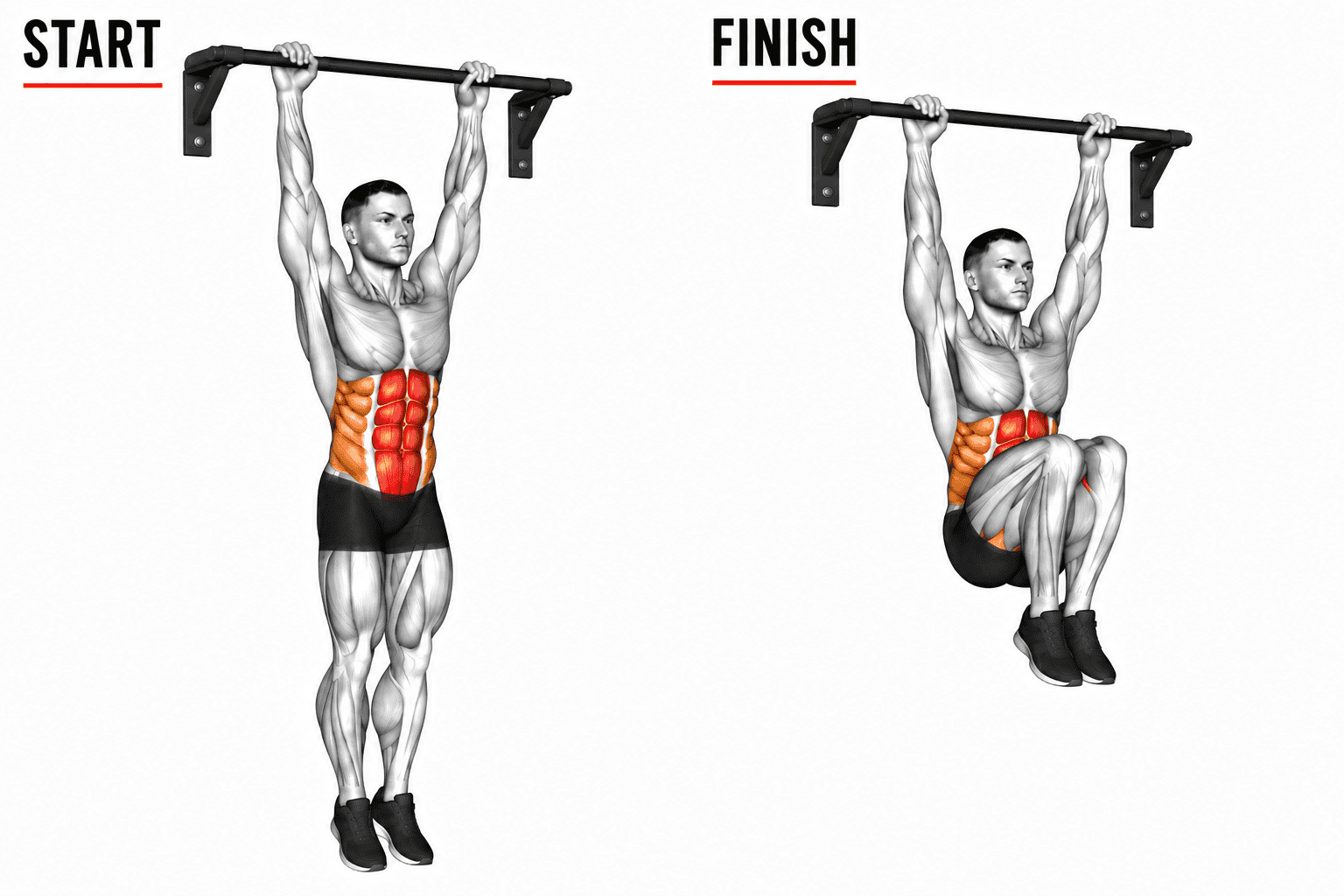 Diagram showing a person performing hanging knee raise, with the start position on the left and the finish position on the right. The abdominal muscles are highlighted in red and orange in both images.