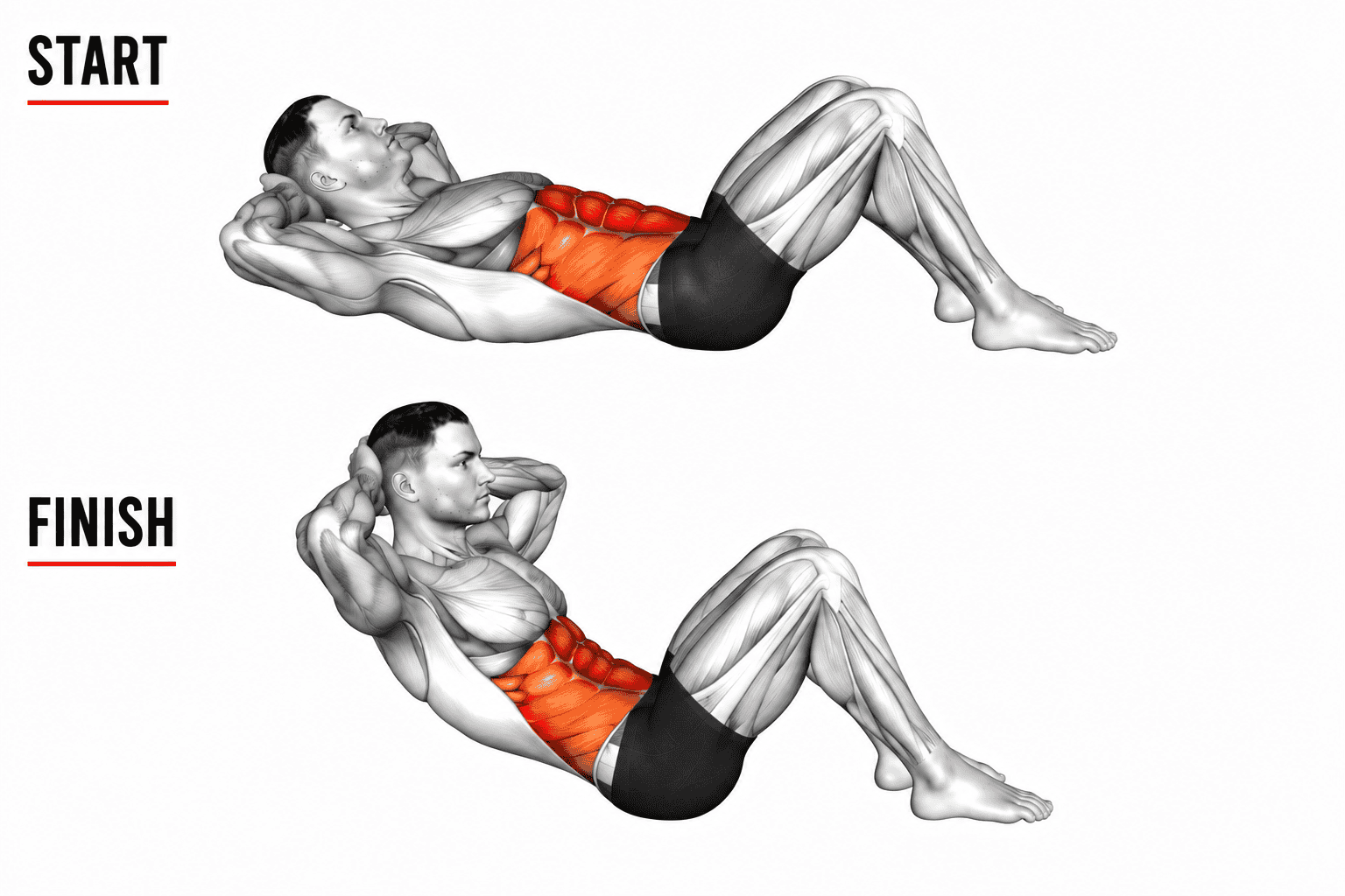Illustration of a man performing a crunch exercise, showing the start and finish positions. The abdominal muscles are highlighted in orange.