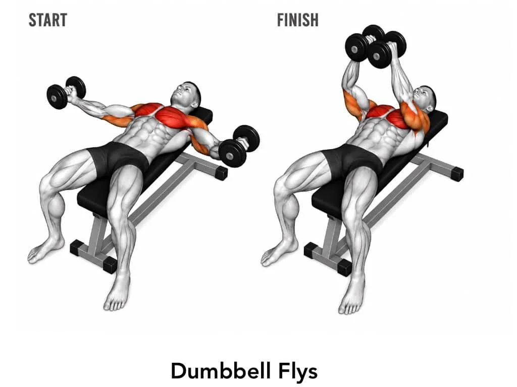 A muscular man performs dumbbell fly exercises on a bench, showing the starting position with arms extended outward and the finishing position with arms lifted overhead, highlighting the muscle engagement in chest, shoulders, and arms.