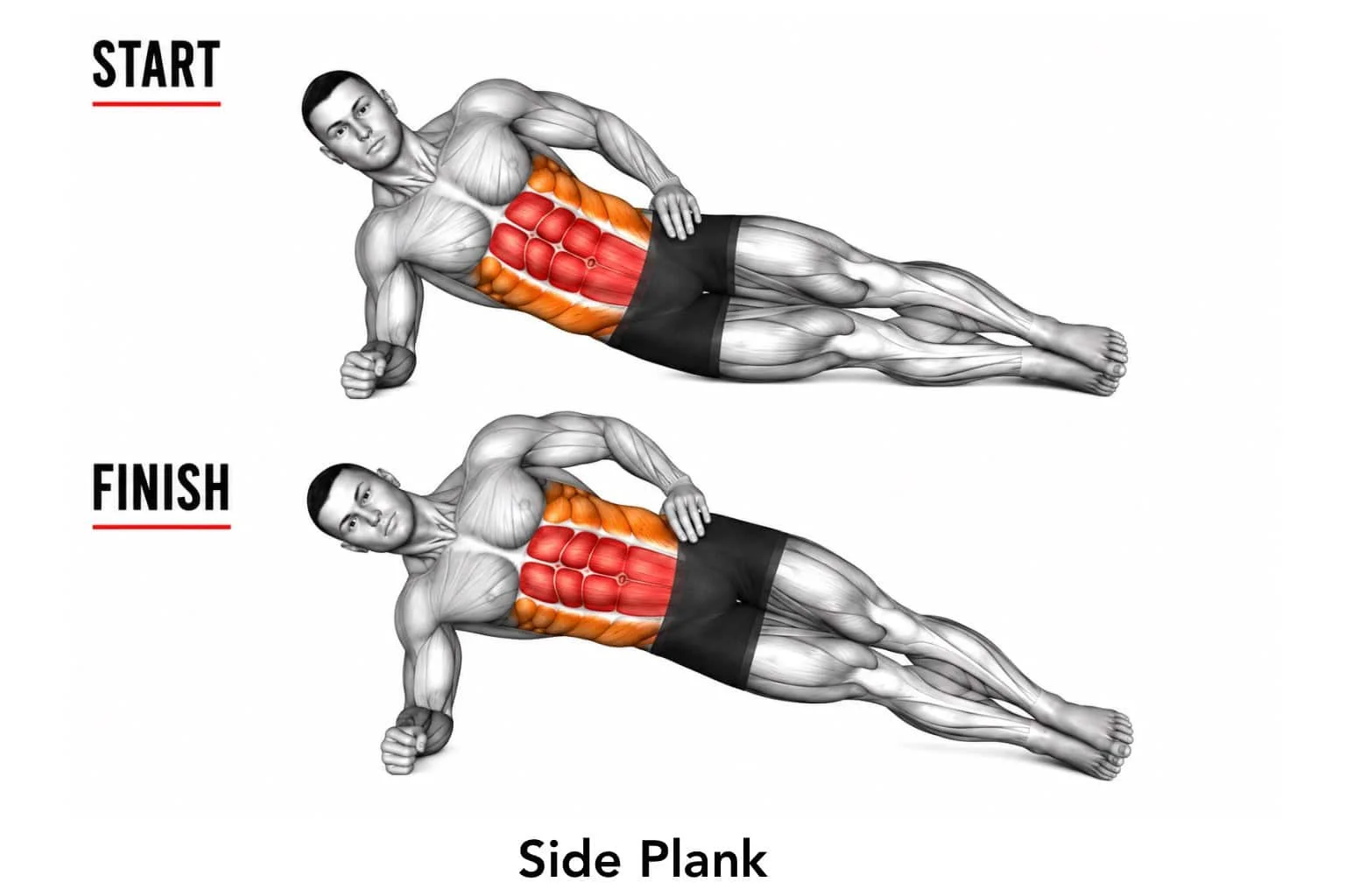 Diagram showing a side plank exercise with labeled muscles, showing start and finish positions, emphasizing core engagement and muscle activation.