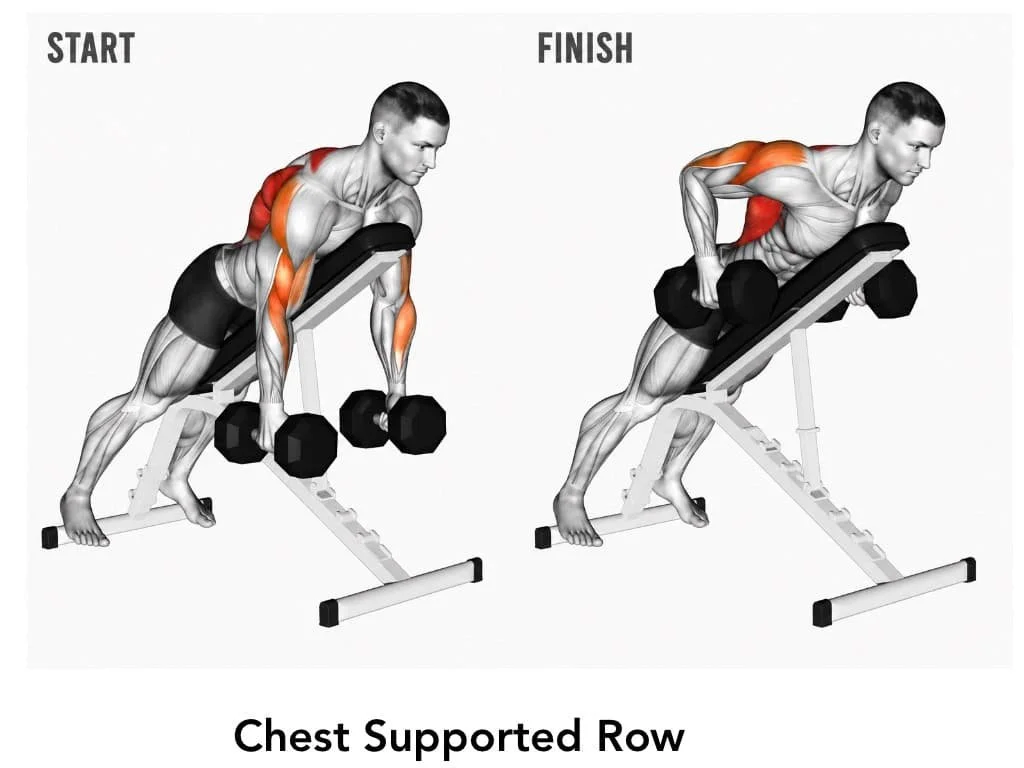 Illustration comparing start and finish positions of a chest-supported row exercise with highlighted muscle groups in red, showing a man pulling dumbbells towards his chest while lying face down on an inclined bench.