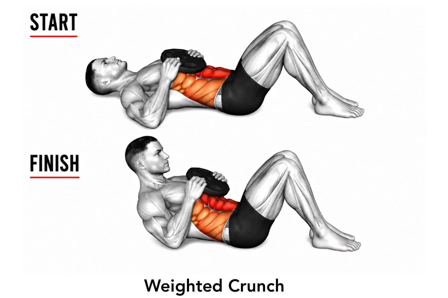 Illustration of a man performing a weighted crunch exercise, showing the start position at the top and the finish position at the bottom, highlighting the core muscles engaged during the movement.