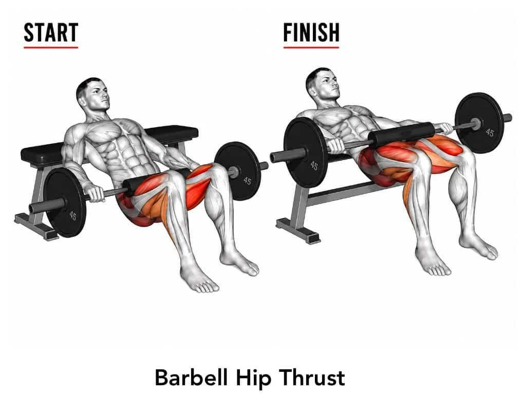 Illustration of a man performing the barbell hip thrust exercise, showing the starting and finishing positions, with highlighted muscles engaged in the movement.