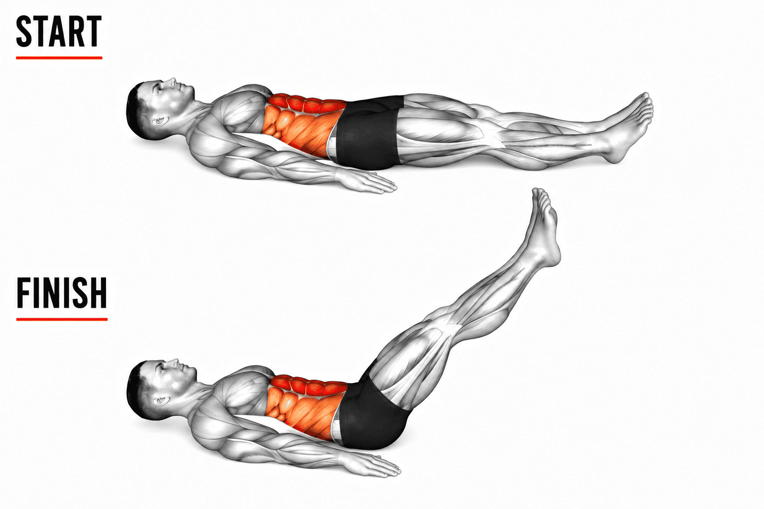 An illustrated diagram of a person doing a floor leg raise,  showing the transition from start to finish. The person lies on their back in both images, with highlighted abdominal muscles.