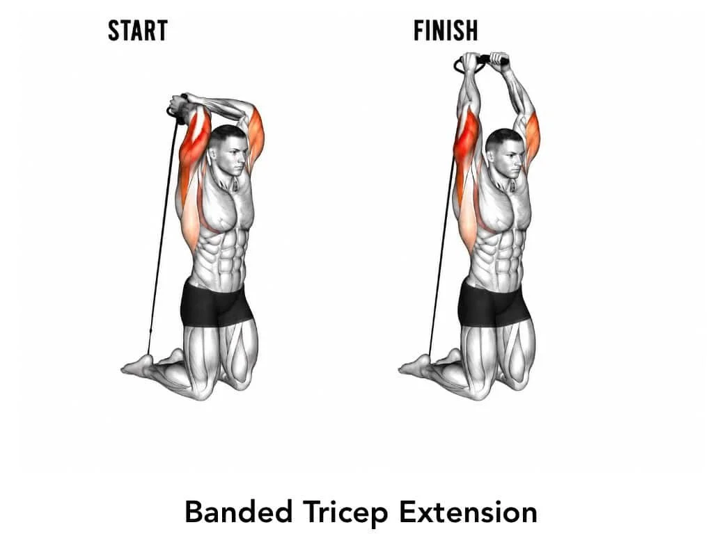Diagram showing the start and finish positions of a banded tricep extension exercise, with focus on triceps muscles.
