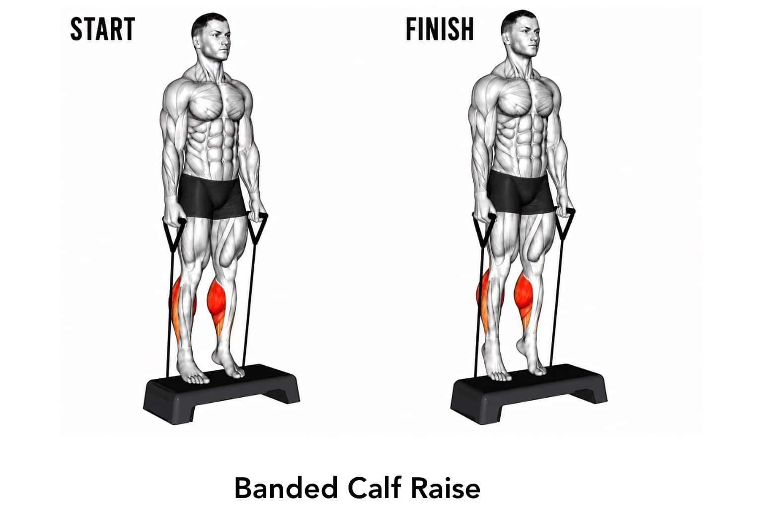 Diagram showing the starting and finishing positions of a banded calf raise exercise, with the muscles in the calves highlighted in red.