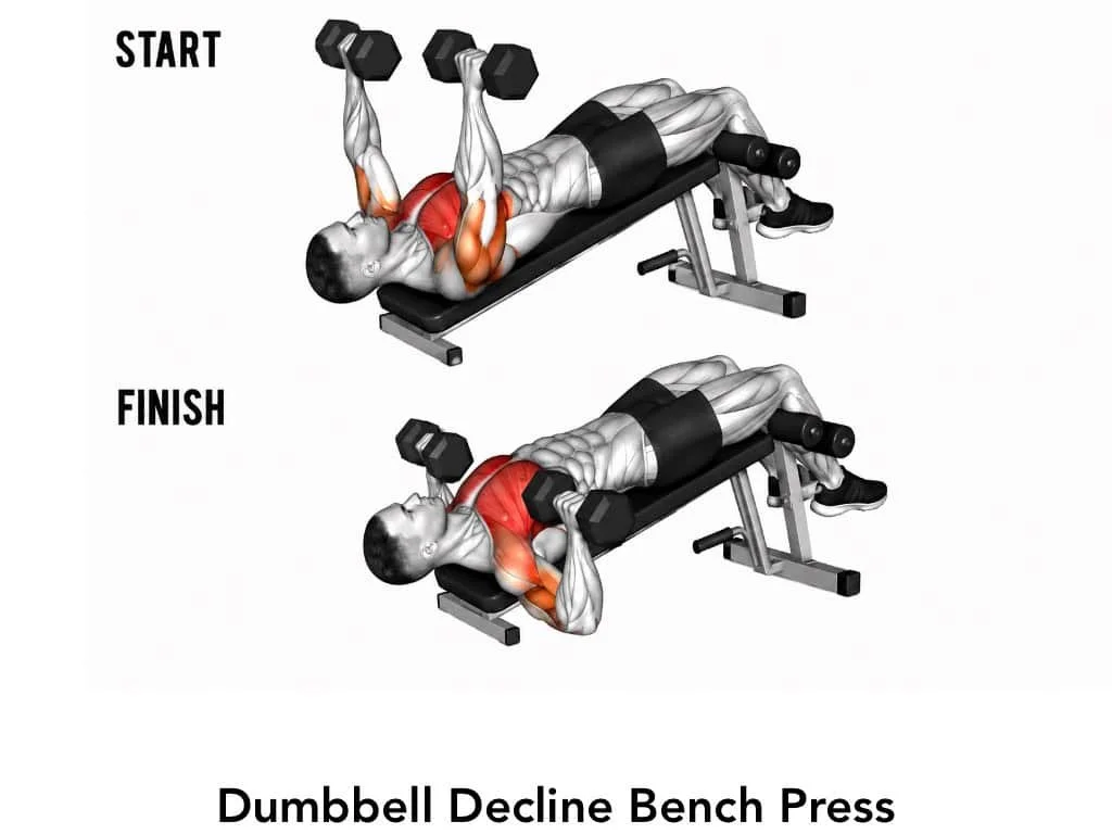 Illustration of a man performing a dumbbell decline bench press, demonstrating the start and finish positions, with focus on arm and chest muscles, on a workout bench.