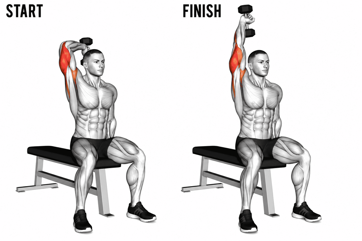 A muscular man seated on a bench performing a seated dumbbell tricep extension. The image shows a sequence from start to finish of the exercise, with the man raising a dumbbell overhead with one arm.